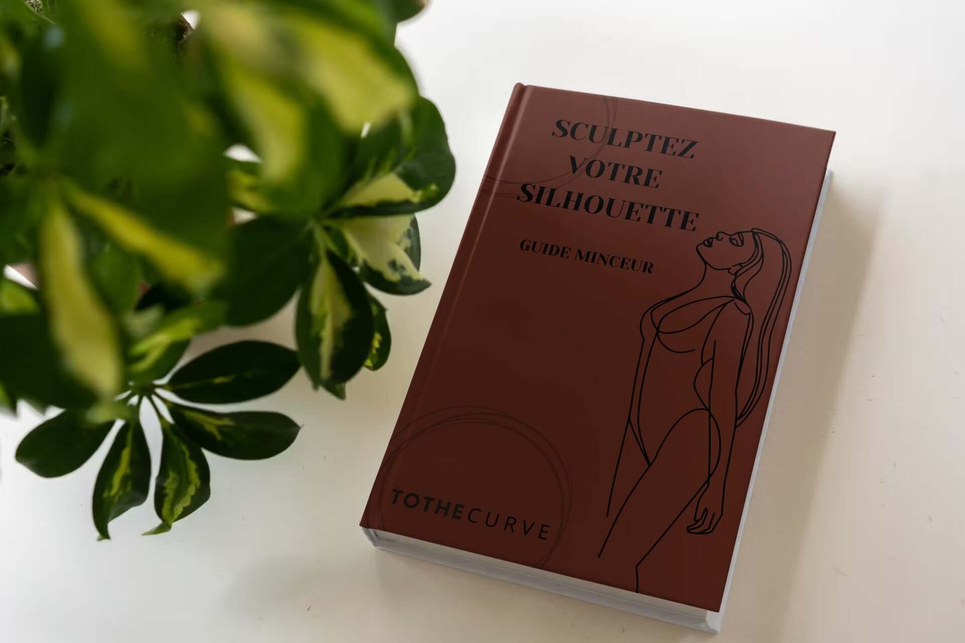Cover of 'Sculptez Votre Silhouette' guide by Tothecurve, featuring stylish design and plant in background.